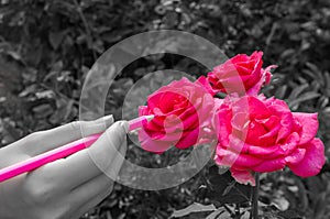 Girl paints roses in red color with a pencil in a flowerbed