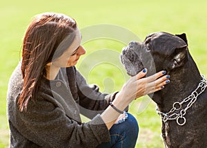 Girl in the park walking with their big dog Cane Corso