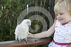 Girl and Parrot