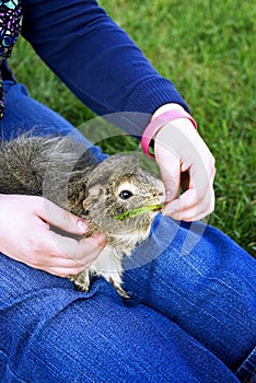 Girl and pet