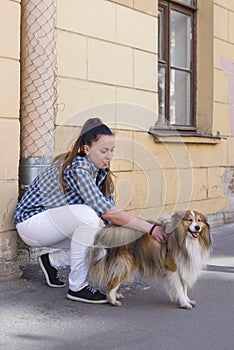 Girl petting the dog shelty on the street