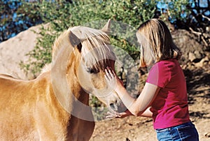 Girl petting horse