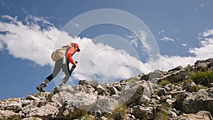 Girl photographer goes uphill on the background and the sky with clouds on a sunny day. Concept photo tours for