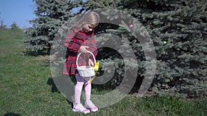 The girl pick up eggs hidden on the tree. The girl puts the found eggs in a basket.