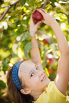 Girl picking an apple