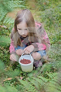 Girl picking berries