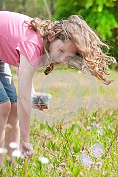 Girl picking berries