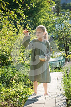 Girl picking cherries