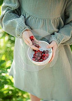 Girl picking cherries