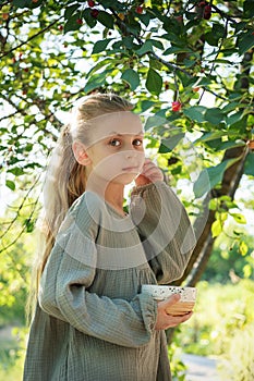 Girl picking cherries