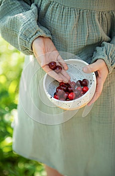 Girl picking cherries