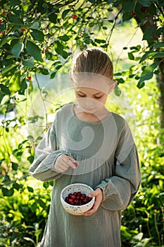 Girl picking cherries