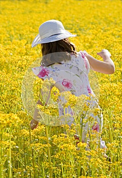 Girl Picking Flowers