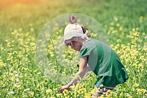 Girl picking flowers on the meadow