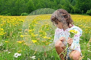 Girl picking flowers in yellow spring meadow