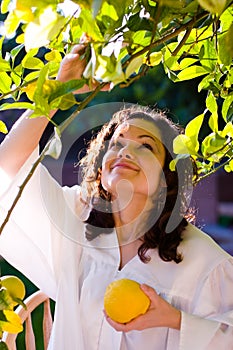 Girl picking up fresh fruit