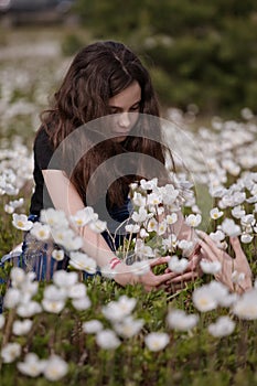 Girl picking white poppies