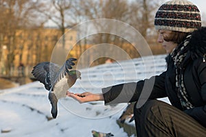 Girl and pigeon