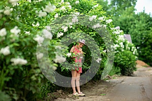 a girl in a pink dress looks out from the bushes of blooming lilac