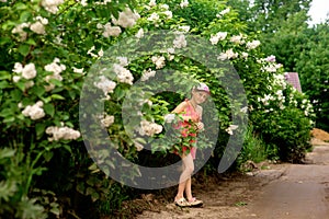 a girl in a pink dress looks out from the bushes of blooming lilac