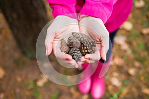 Girl in pink raincoat and rubber boots holds fir cones in her hands