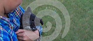 A girl in a plaid blue shirt is holding her little black dog. Banner. A beautiful puppy looks at the camera. The girl gently hugs