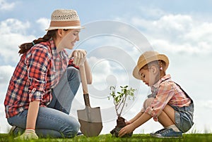 Girl plant sapling tree