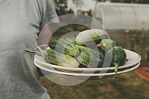 Girl with a plate of green cucumbers, fresh crop