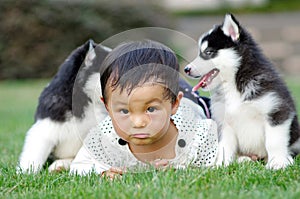 Girl play with puppy