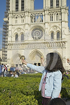 Girl playing with birds in the park next to Notre Dame Cathedral, Paris, France