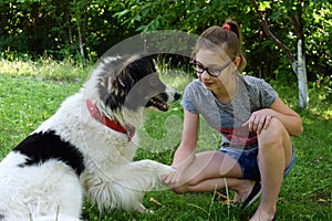 Girl playing with dog on grass. Teenager hugging Carpathian Shepherd Dog in the summer park. Friendship concept of man and animal