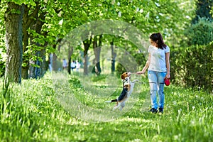 Girl playing with a dog in the park. In the hands of the stick.