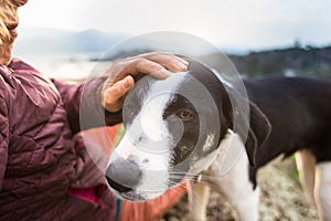 Girl playing with a dog while traveling