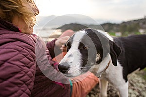 Girl playing with a dog while traveling