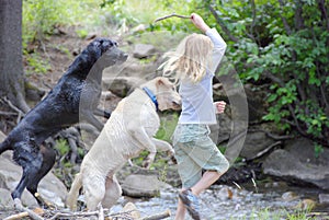 Girl playing with dogs