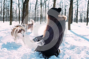 Girl playing with dogs in snow