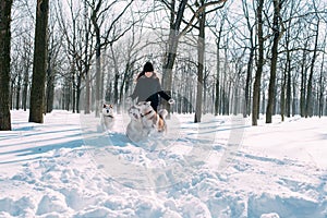Girl playing with dogs in snow