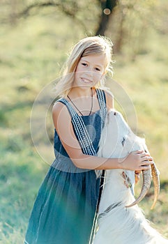 girl playing and feeding with goats on the goats cheese farm outdoors. girl feed and pet goats on the farm