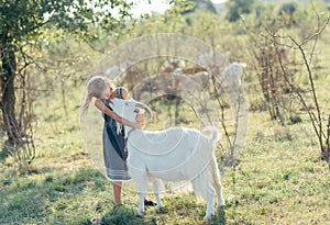 girl playing with goats at farm. Child familiarizing herself with animals. Farming and gardening . Outdoor summer