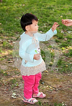 Girl playing on the grass