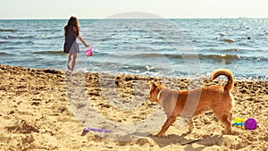 Girl playing with her dog.