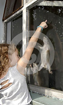 Girl playing with marmots