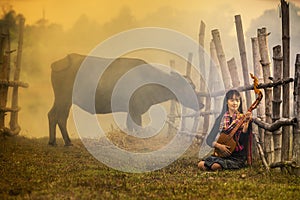 Girl playing music in a buffalo rice field. Rural women playing mandolin guitar at countryside in Asia