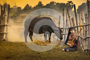 Girl playing music in a buffalo rice field. Rural women playing mandolin guitar at countryside in Asia