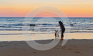 Girl playing and running on the beach with her dog