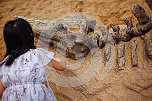 A girl playing in a sandbox with a modeled dinosaur fossil, digging sand off the fossil photo