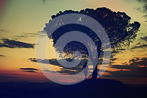 Girl playing on a tire swing