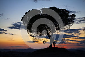 Girl playing on a tire swing