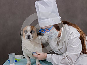 Girl playing veterinarian with dog