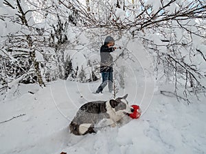A girl plays with a corgi dog in a snowy forest. Sunlight. Winter`s tale